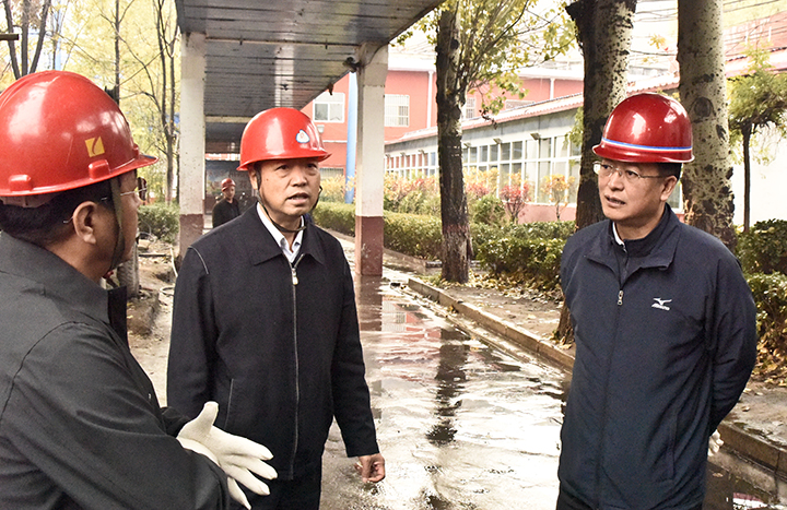 11月6日,集团公司副总经理王成师带领生产处,计划处,财务处,煤炭工业